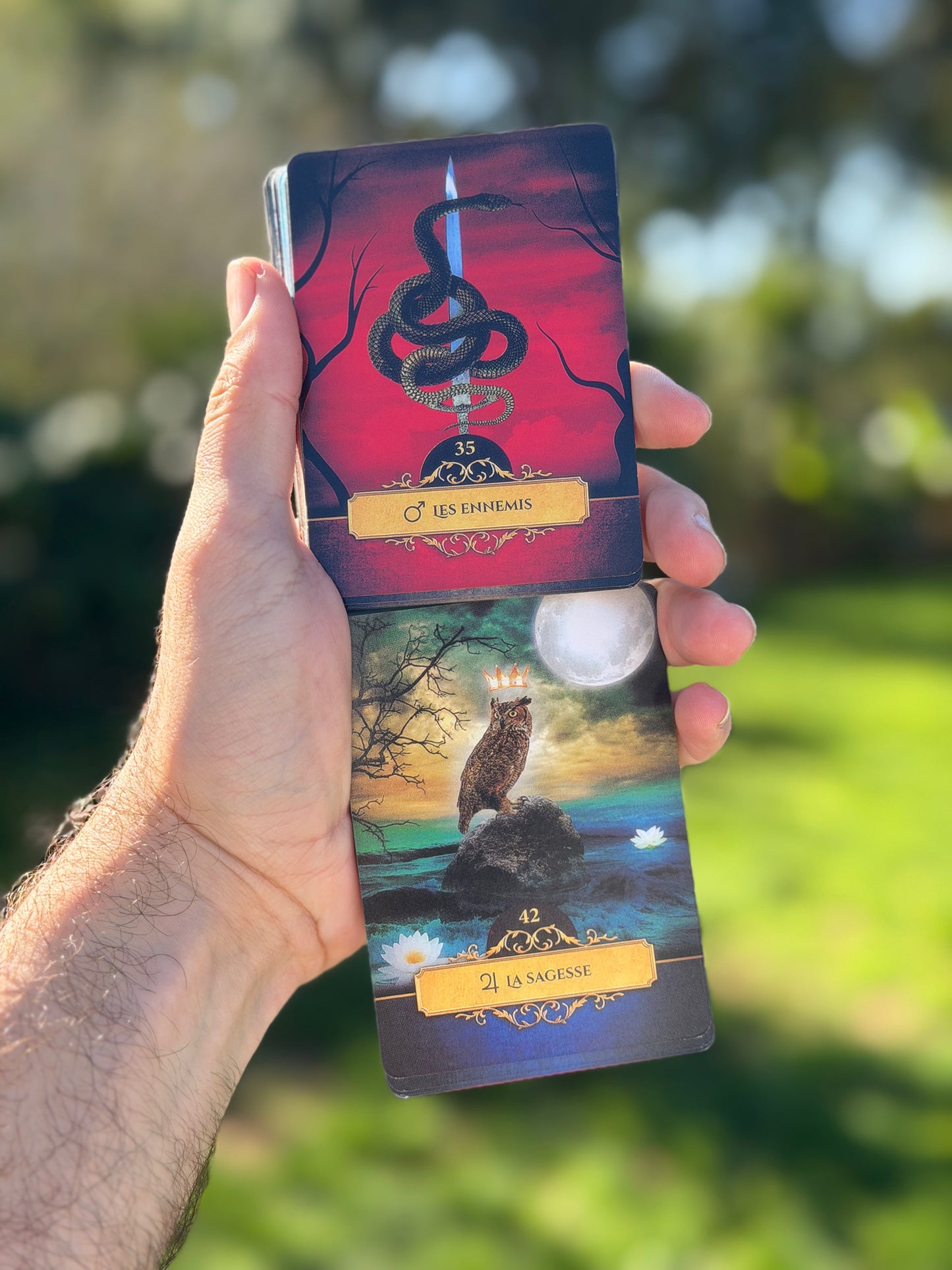 Oracle Belline - Jeu de cartes tarot spirituelle
